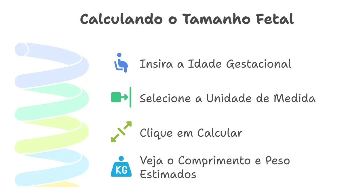 Calculadora tamanho do feto